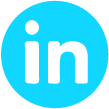 LinkedIn button